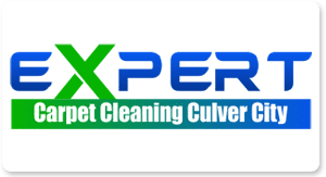 Expert Carpet Cleaning